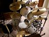 Pearl Export